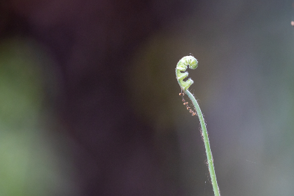 深入了解永乐国际F66的独特魅力与优势