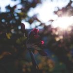 海立方赌场平台:在线博彩的安全与乐趣结合 ar2de05