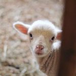 龙八国际app下载指南:轻松注册与畅玩技巧分享 dl7wg6