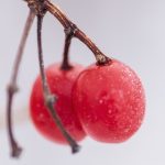 深入了解乐鱼体育官网的优势与用户体验分析 keghvq