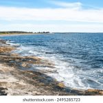 深入了解澳亚国际注册的优势与申请流程解析 qxvz0